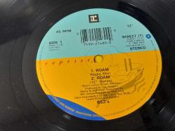 THE B-52'S ROAM PLAK   - MAXI LP