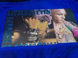 LITTLE STEVEN FREEDOM NO COMPROMISE   - MAXI LP
