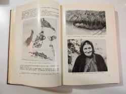 Tara Oaşului - Studiu Etnografic Cultura Materiala Vol. II (Rumen/Romanya Kültürü(