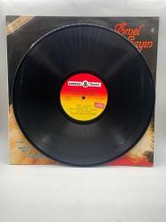 EMEL SAYIN SEVGİSİZ YAŞAYAMAM DÖNEM PLAK