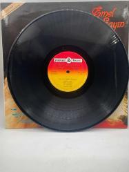 EMEL SAYIN SEVGİSİZ YAŞAYAMAM DÖNEM PLAK