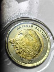 Anadolu'ya Özgü Hayvan Serisi  Anadolu kartalı