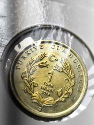 Anadolu'ya Özgü Hayvan Serisi  Anadolu kartalı