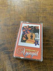 AYŞEGÜL - GÜZELLEME 2 - KASET