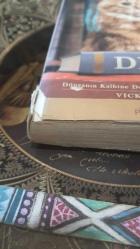 Dewey: Dünyanın Kalbine Dokunan Kütüphane Kedisi