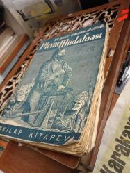 Bir ingiliz subayının hatıraları plevne müdafası