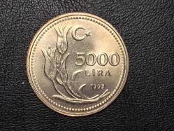 1993 YILINA AİT MADENİ 5000 TÜRK LİRASI ÇİL  TCM 0709