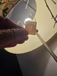 Birleşik Krallık  Kraliçe Victoria.