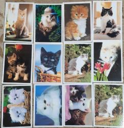 Kedi Temalı Kartpostal 49 Adet KEDİ KARTPOSTAL Koleksiyonu