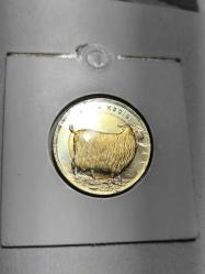 Anadolu'ya Özgü Hayvan Serisi Ankara Keçisi