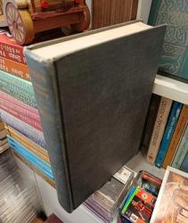 The Portrait of a Politician - Ignatius Donnelly