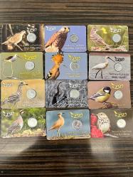 KUŞLAR SERİSİ SET