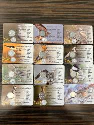 KUŞLAR SERİSİ SET