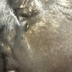 50 Lira 1986. Çil, Hilal Kenara Yakın (Az Çıkar) Kapamasında.