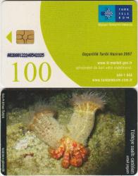 ORTAK YAŞAM ÇİPLİ TELEFON KARTI 100 KONTÖR 2007 TÜRK TELEKOM.
