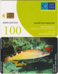 SUALTI CANLILARI-BENEKLİ LAPİN ÇİPLİ TELEFON KARTI 100 KONTÖR 2007 TÜRK TELEKOM.