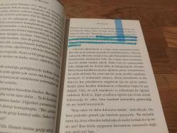 Buz Kapanı - Karanlık Zihinler 2