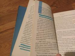 Buz Kapanı - Karanlık Zihinler 2