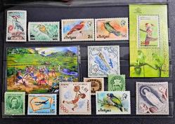 DÜNYA KARIŞIK DAMGASIZ PUL VE BLOK LOTU. BİR KARTELA.