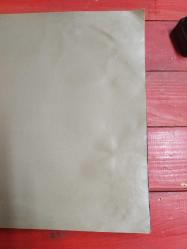 PUSLU KITALAR ATLASI - ÇİZGİ ROMAN (İLK BASKI)