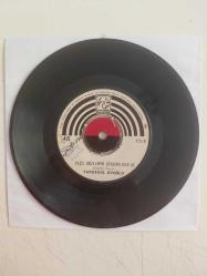 Yurdagül Eroğlu  ‎– Akşam Oldu Hüzünlendim Ben Yine  - Türkiye Basım 45'lik Plak /Kapaksız