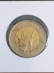 2016 HAYVANLAR SERİSİ YABAN  TAVŞANI