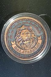 Galatasaray 24. Şampiyonluk Bronz (Okside) Hatıra Parası – Kutulu