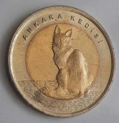 Efemera - HAYVANLAR SERİSİ 2015 ANKARA KEDİSİ Özel Kapamasinda - kitantik - kitaLog