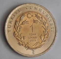 HAYVANLAR SERİSİ 2015 ANKARA KEDİSİ