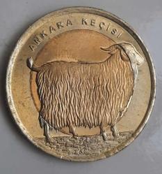 HAYVANLAR SERİSİ 2015 ANKARA KEÇİSİ