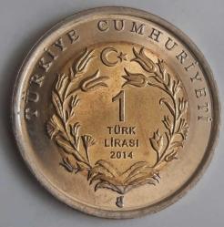 HAYVANLAR SERİSİ 2014 UZUN KULAKLI KİRPİ