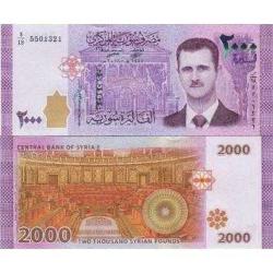SURİYE 2000 POUND 2018