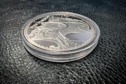 YENİ YAPIM GÜMÜŞ KAPLAMA MADENİ PARA 3