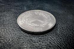 GÜMÜŞ KAPLAMA YENİ YAPIM PARA 6