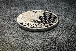 GÜMÜŞ KAPLAMA YENİ YAPIM PARA 8