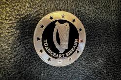 GÜMÜŞ KAPLAMA YENİ YAPIM PARA 9