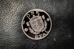 GÜMÜŞ KAPLAMA YENİ YAPIM PARA 11