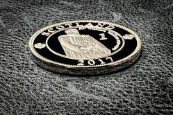 GÜMÜŞ KAPLAMA YENİ YAPIM PARA 11