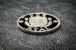 GÜMÜŞ KAPLAMA YENİ YAPIM PARA 11