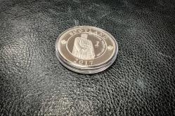 GÜMÜŞ KAPLAMA YENİ YAPIM PARA 11