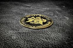 ALTIN KAPLAMA YENİ YAPIM MADENİ PARA TRUMP 15