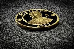 ALTIN KAPLAMA YENİ YAPIM MADENİ PARA 17