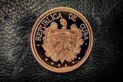 ALTIN KAPLAMA ROSE YENİ YAPIM MADENİ PARA 19