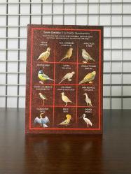 Anadoluya Özgü Kuşlar 2020/2021 Takım Seti