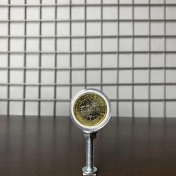 1 Lira “TBMM 100. Yıl” Tedavül Hatıra Para 2020 (T.C DÜZ)