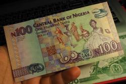 NİJERYA 100 NAİRA ÇİL