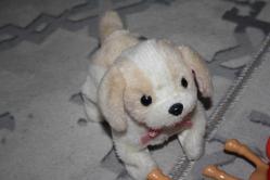 Sihirli Köpek Peluş OYUNCAK KENDI TAKLA ATAN KÖPEK VE BİR COK OYUNCAK HEPSİDE GÖNDERILECEKTIR  (CD-ODA