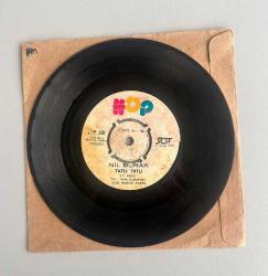 NİL BURAK - TATLI TATLI, SUS 45 LİK PLAK KONDİSYON 8