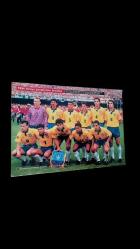 1994 Dünya Kupası Şampiyonu BREZİLYA POSTER