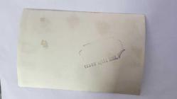 CHP ADANA ESKİ MİLLETVEKİLLERİNDEN ve BAŞBAKAN YARDIMCISI DR. KEMAL SATIR'IN HABER METİNLİ AJANS-BASIN FOTOĞRAFI - 18 x 12 cm EBADINDA - KEMAL SATIR, İSMET İNÖNÜ'YLE GÖRÜŞMEYE GİDERKEN ÇEKİLMİŞ BİR KARE